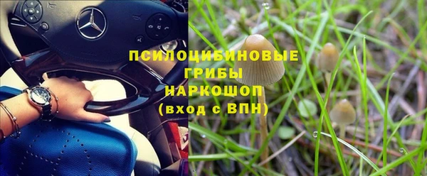молекула духа Алексеевка